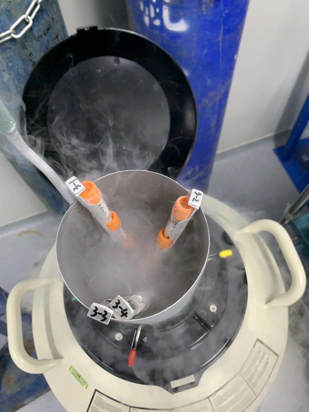 使用液氮罐儲存胚胎樣品